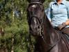 Oldenborg Frederiks Pronto [Tidl. hest]