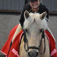 Anden særlig race Isabella R.I.P.