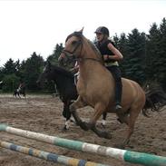 Anden særlig race Chess