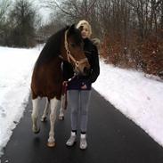 Anden særlig race Gucci