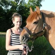 Anden særlig race Sally