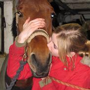 Anden særlig race Cherrie