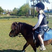 Anden særlig race Caros Basse<3