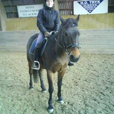 Anden særlig race Charlie *Elevpony*(Har redet)