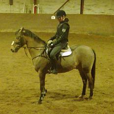 Tysk Sportspony - Maros b-pony SOLGT