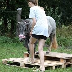 Miniature Unieke Whitey