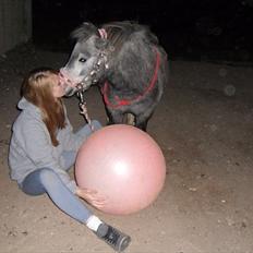 Miniature Unieke Whitey