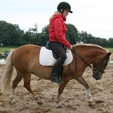 Anden særlig race Fie Gamle part:´)