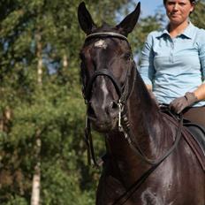 Oldenborg Frederiks Pronto