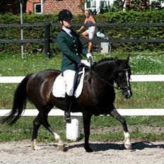 DSP Welvet af kongshøj <3