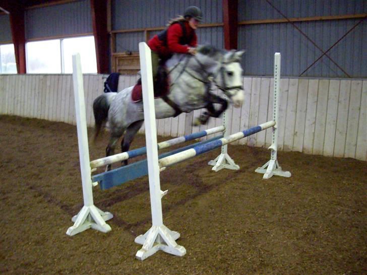 Anden særlig race CASMIR | - Fordi du er tæt på perfekt ;) billede 15