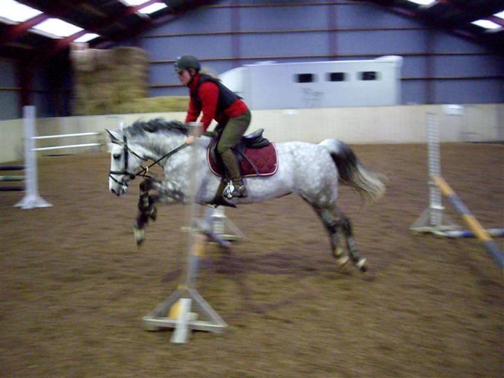 Anden særlig race CASMIR | - :D billede 16