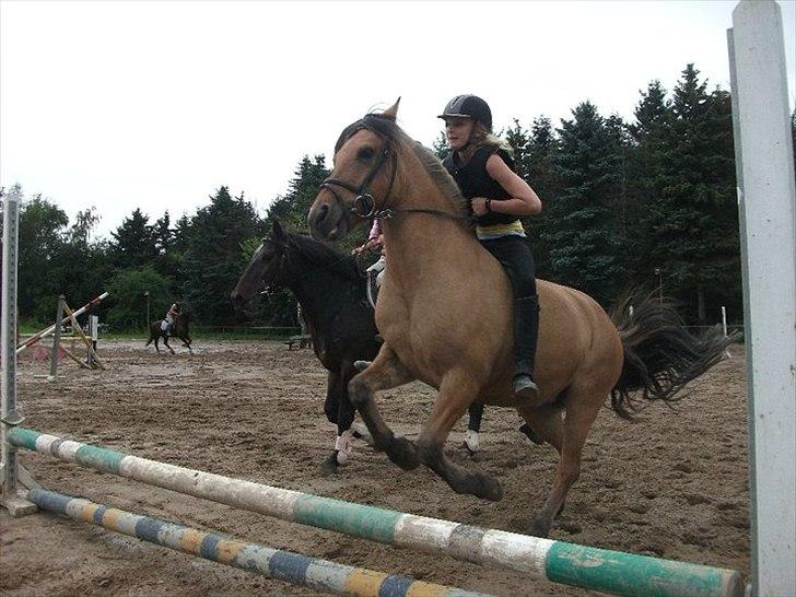 Anden særlig race Chess - Rider altid uden sadel på min fødselsdag og i 2010 var det en fredag ;*<3 billede 3