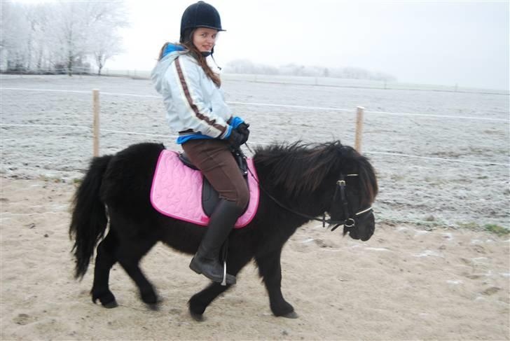 Anden særlig race Mini Max <3 *SOLGT :s* - Mini Max og jeg nytårsaften 08/09 :o) billede 7