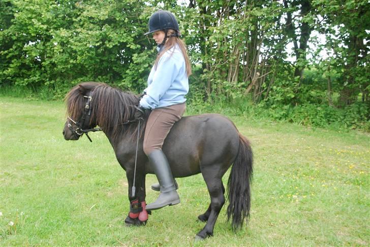 Anden særlig race Mini Max <3 *SOLGT :s* - Mini Max og jeg, september 2009. billede 8