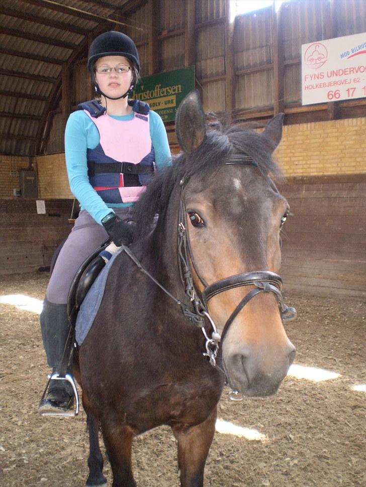 Anden særlig race Charlie *Elevpony*(Har redet) - Nr. 3 billede 3