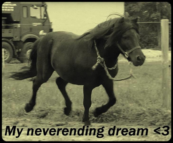 Anden særlig race Mini Max <3 *SOLGT :s* - Du´ dejlig, dreng <3 billede 17