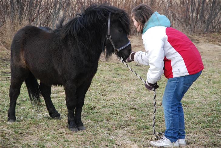 Anden særlig race Mini Max <3 *SOLGT :s* - Dejlige dreng :o) <3 billede 19