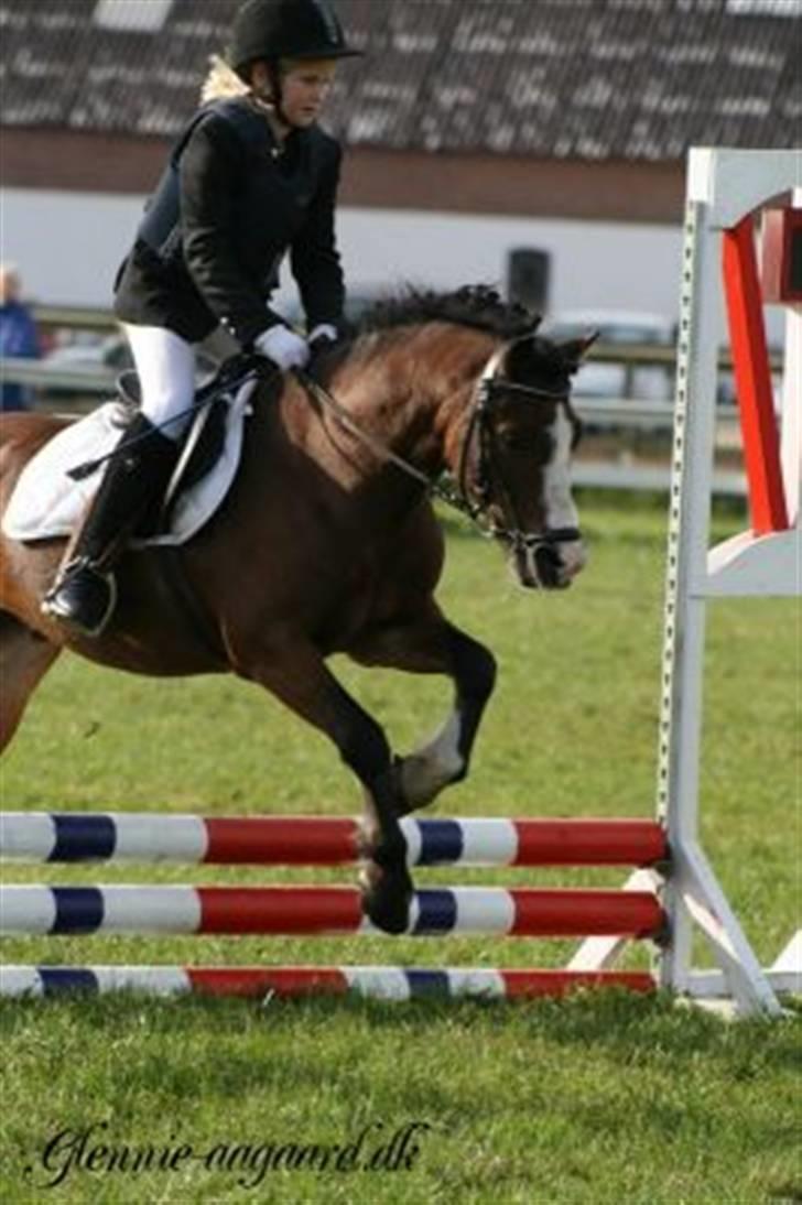 Welsh Pony (sec B) Springbourne Huckleberry! (Solgt) - Lille Hugo og mig i en LE - tak for kigget, smid en høj inden du går! :) (han fortjener det!) billede 18