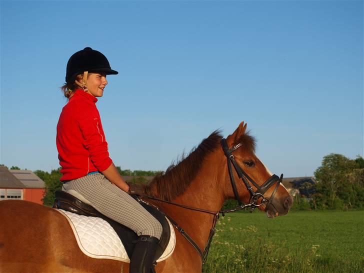 Anden særlig race Tarzan (Solgt) - Tarzan og ejer (Emma) springer :D billede 12