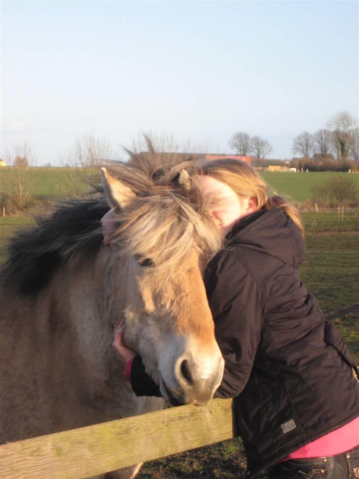 Fjordhest Nobelis Fjordlyst - Mig og Nobelis før Nobelis blev taget hjem og fik klippet man :) <33 billede 19