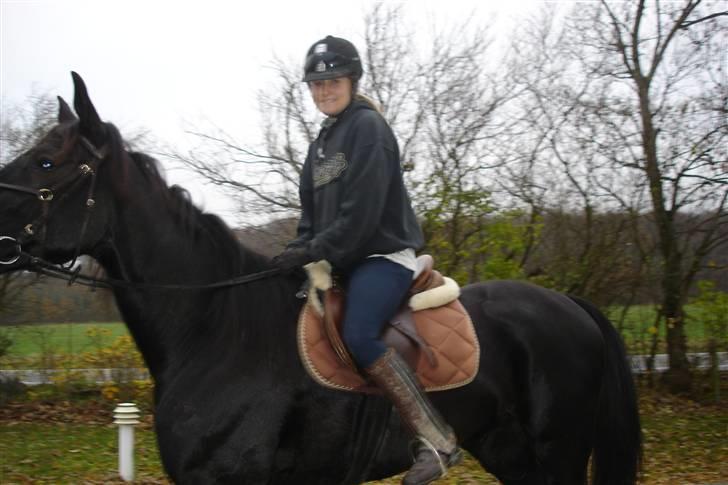 Traver Black Progress - Hvad er der derovre? :P billede 3