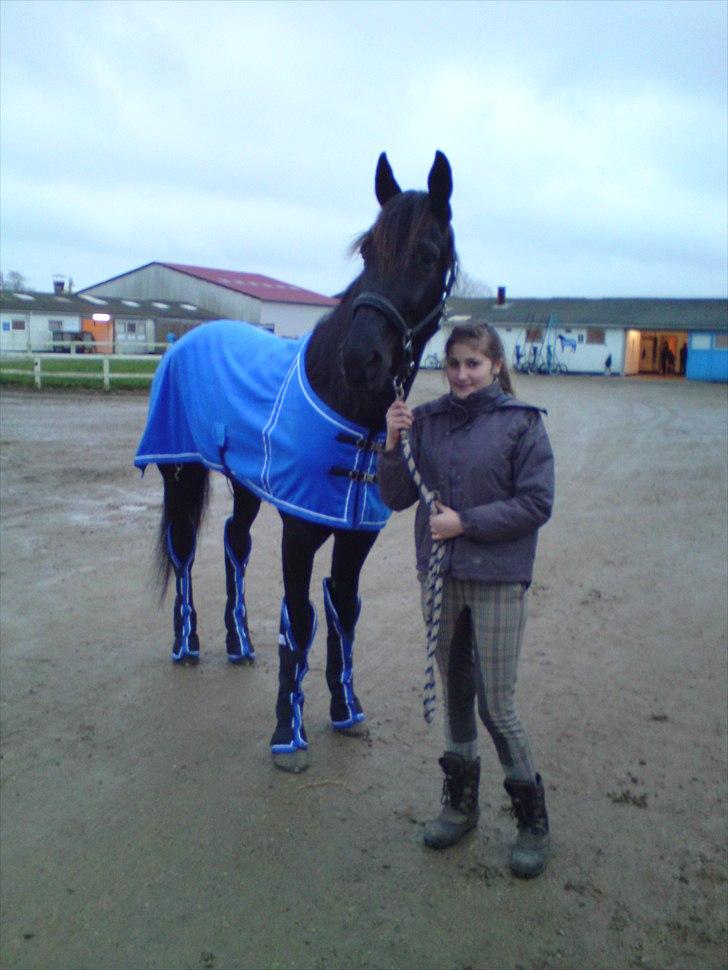 Traver Black Progress - Skivemesterskab 2010 billede 4