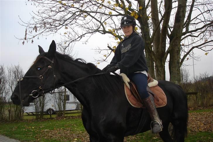 Traver Black Progress - mmmh GULEROD :D billede 5