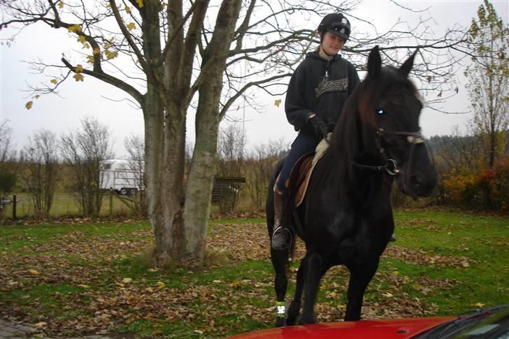 Traver Black Progress billede 6