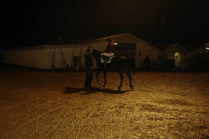 Traver Black Progress - De sidste instrukser inden prøveløbet i Skive. billede 9