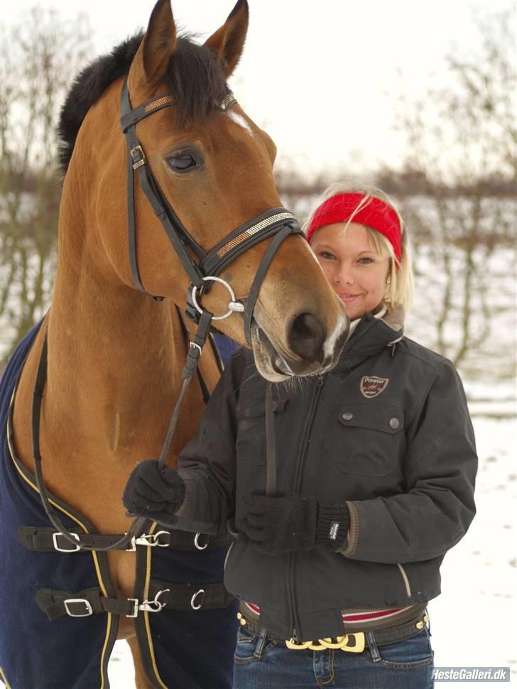 Hollandsk Sportspony Margriet - Solgt billede 20