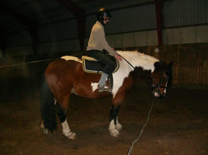 Anden særlig race Balou billede 16