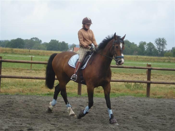 Oldenborg Teglgårdens Fielou R.I.P. - Foto: Kira R. :) billede 11