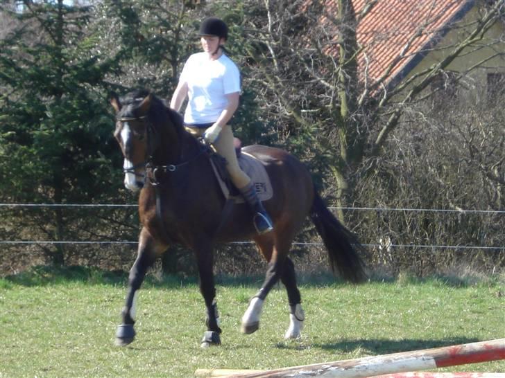 Oldenborg Teglgårdens Fielou R.I.P. - Kimmie rider. Foto: mig :) billede 12