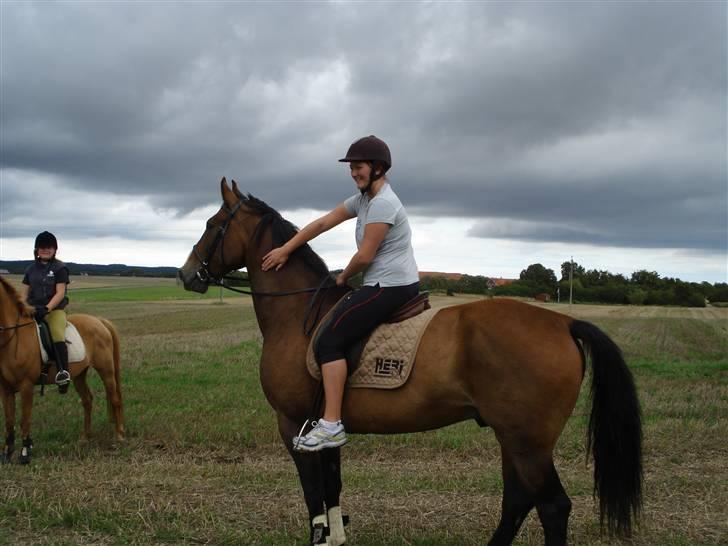 Oldenborg Teglgårdens Fielou R.I.P. - Den dag de skulle hjem, vi havde næsten lige fået ham her :) Foto: Jeppe M. billede 13