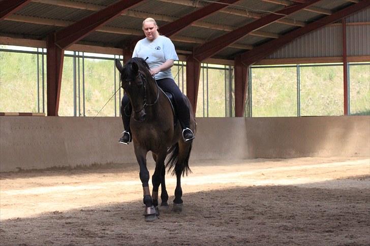 Holstener Chairman 7 - Træning på Lerbækhus .. Taget af Josefine Keller med mit kamera , tak ! billede 12