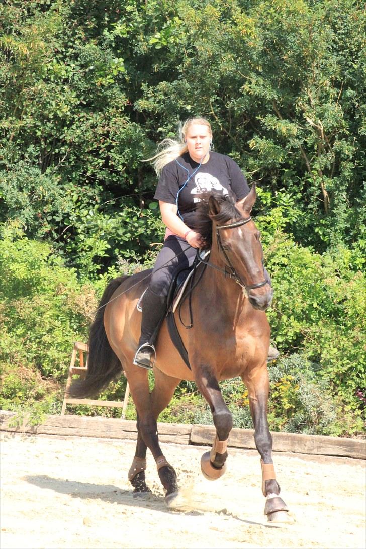 Holstener Chairman 7 - Træning d. 26. juli 2010 .. Taget af Nicoline Wolk med mit kamera , tak ! billede 13