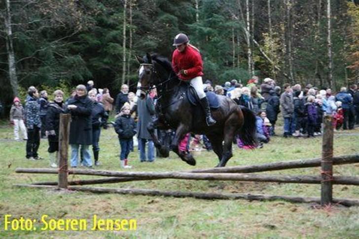 Oldenborg Teglgårdens Fielou R.I.P. - Hubertusjagt 2008 (: billede 16
