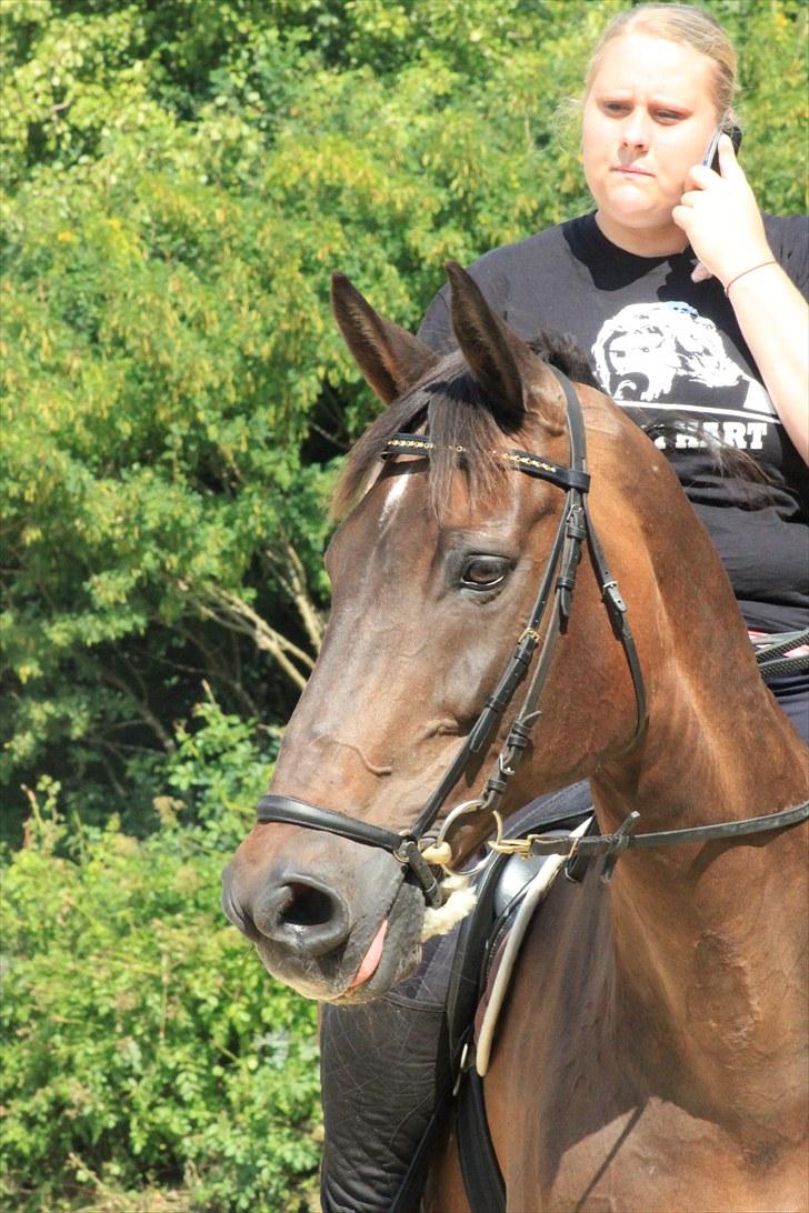 Holstener Chairman 7 - Pony og jeg <3 Taget af Nicoline Wolk med mit kamera , tak ! billede 15