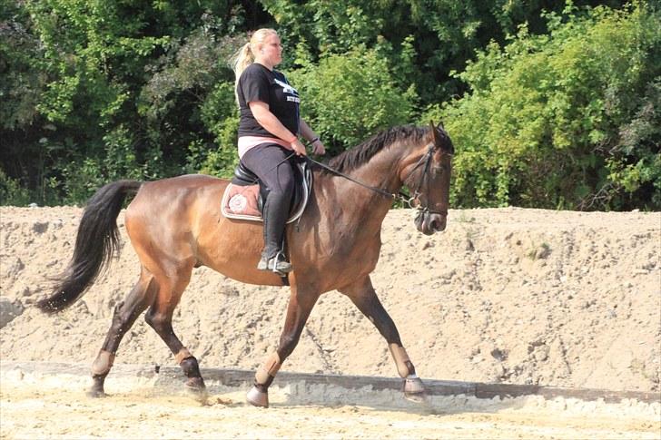 Holstener Chairman 7 - Træning d. 26. juli 2010 .. Taget af Nicoline Wolk med mit kamera , tak ! billede 17