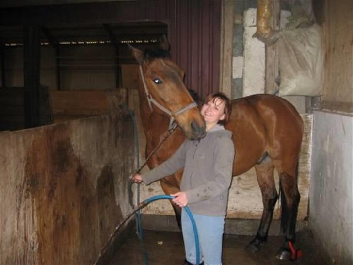 Anden særlig race Eternal Jive billede 6