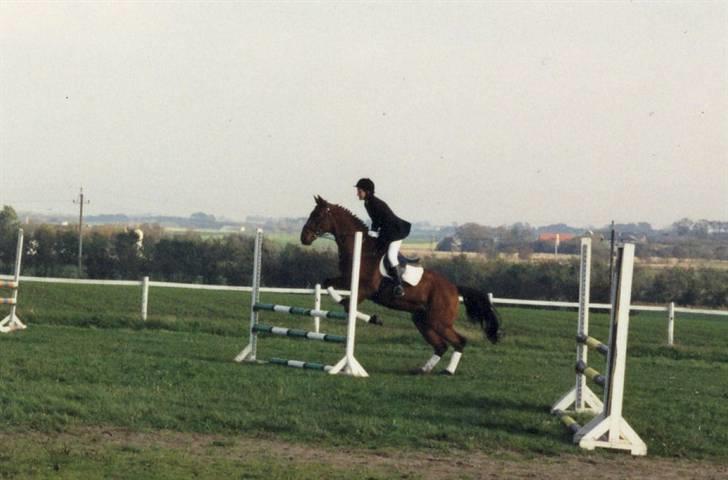 Anden særlig race Eternal Jive billede 10