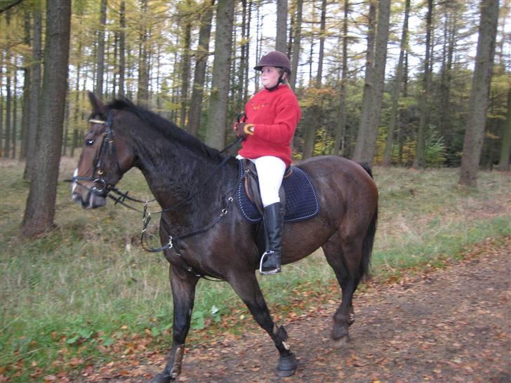 Oldenborg Teglgårdens Fielou R.I.P. - I pausen ved hubertusjagt 2008 :) billede 20