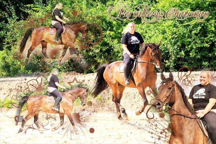 Holstener Chairman 7 - Lavet af Lise Hansen , tak ! billede 20