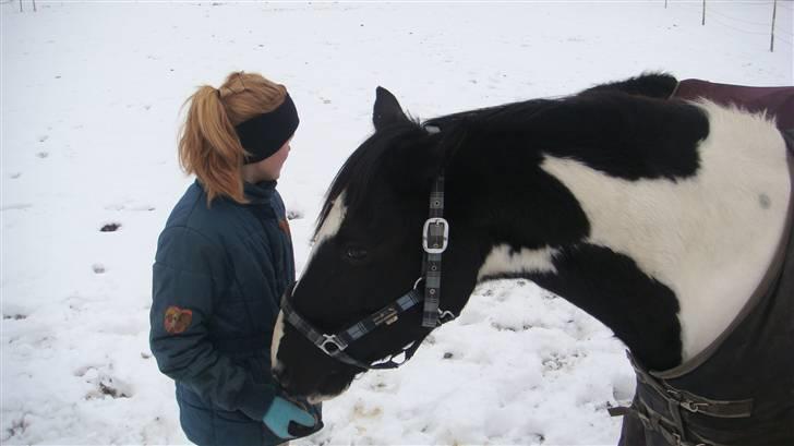 Pinto Star<3 - Vinter 2009<3 billede 8