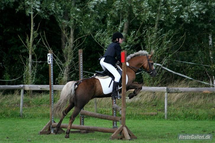 Anden særlig race Jamaica <3(gammel part)<3 - stævne i bjeringbro billede 8