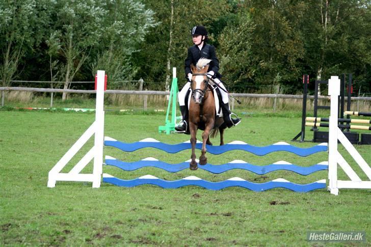 Anden særlig race Jamaica <3(gammel part)<3 - stævne i bjeringbro billede 10