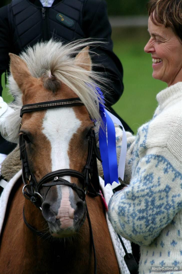 Anden særlig race Jamaica <3(gammel part)<3 - stævne i bjeringbro 2 plads i LB billede 11