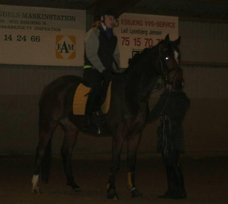 Anden særlig race Stensgårdens Mistral Solg - Lige kommet op, for første gang :o) billede 16