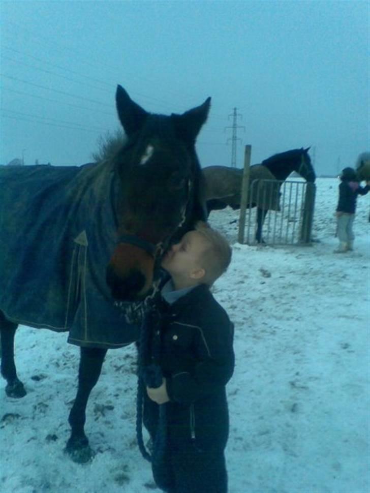 Traver sissel win billede 9